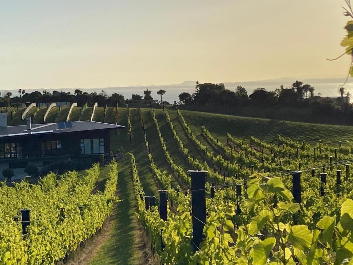 فندق La Bodega Waiheke Island Surfdale المظهر الخارجي الصورة
