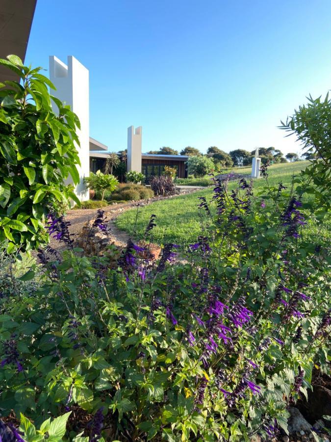 فندق La Bodega Waiheke Island Surfdale المظهر الخارجي الصورة