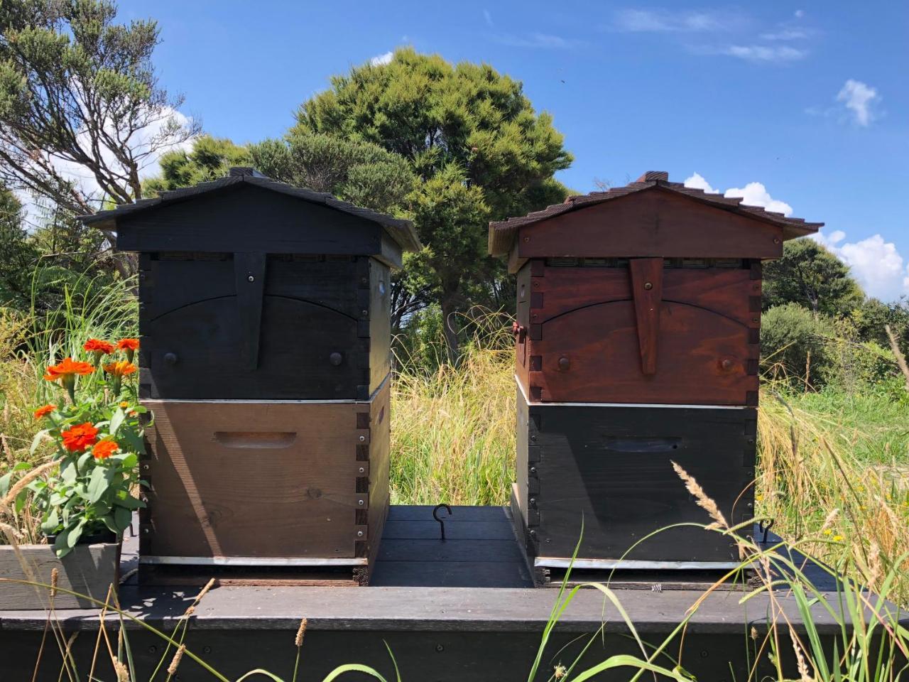 فندق La Bodega Waiheke Island Surfdale المظهر الخارجي الصورة